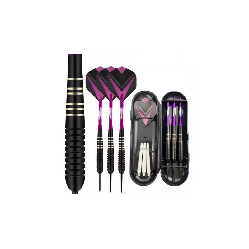 23g Professional Darts Free Carry Box