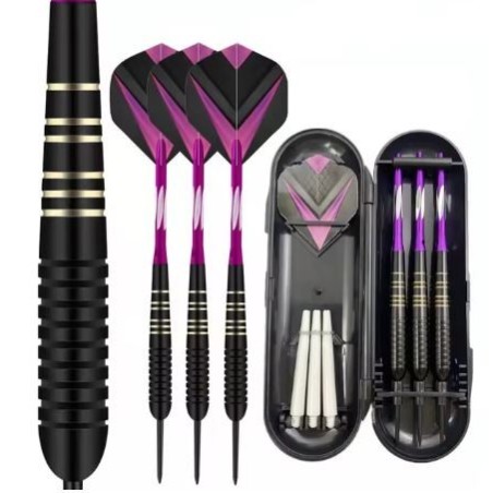 23g Professional Darts Free Carry Box