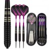 23g Professional Darts Free Carry Box