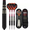 23g Professional Darts Free Carry Box